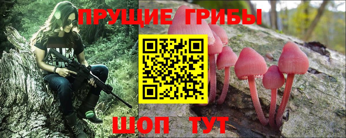 Галлюциногенные грибы GOLDEN TEACHER Новоалтайск